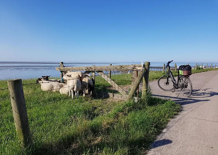 G5 Mit Garten In Eckwarderhoerne By Interhome Holiday home Grosswurden